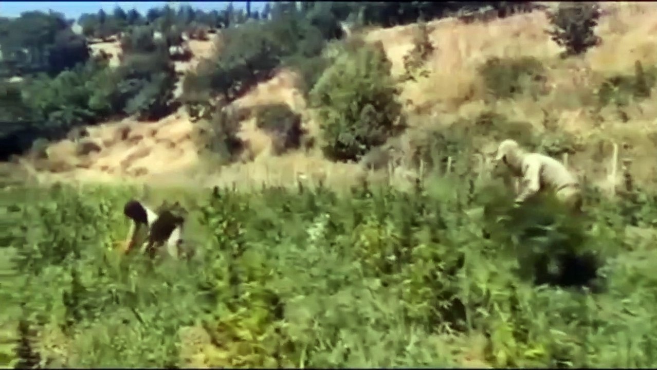 Un coup porté à l'organisation terroriste séparatiste dans l'opération narco-terroriste ! 36,4 milliards de TL de revenus illégaux ont été évités