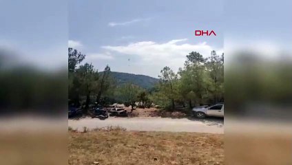 Incendie de forêt à Iskenderun： Intervention aérienne et terrestre