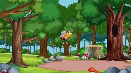 How to animate Honey Bee in adobe after effect tutorial in Hindi