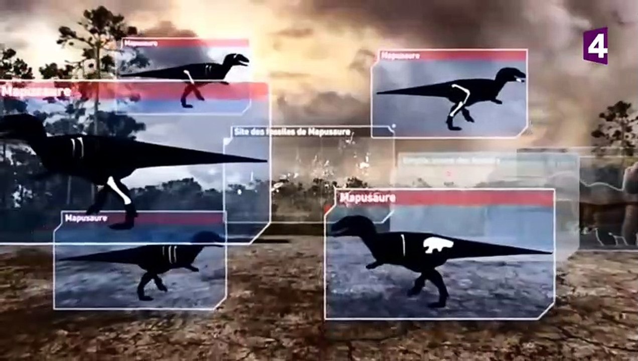 Mapusaures VS argentinosaurus (dinosaures) - ZAPPING SAUVAGE