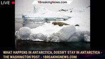 What Happens in Antarctica, Doesn't Stay in Antarctica - The Washington Post - 1BREAKINGNEWS.COM