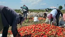 Bursa'da Çalışan Mevsimlik Tarım İşçisi, Barındıkları Koşullardan Yakındı: 