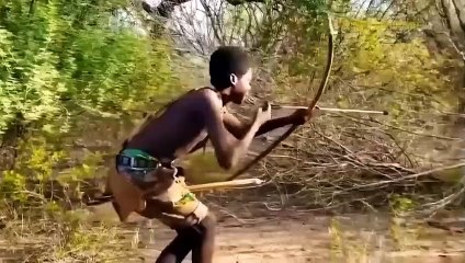 What happens when the hungry leopard ventures into the territory of the Hadzabe tribe to hunt