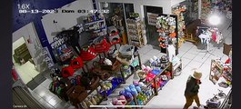 Vídeo flagra ação de trio que invade loja e furta objetos de pet shop