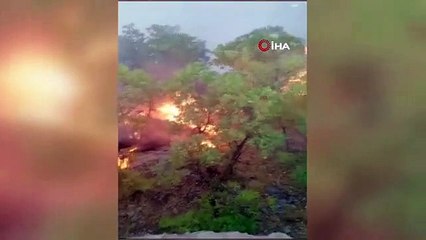 Essayer de contrôler le feu qui a transformé 30 hectares de forêt en cendres à Adıyaman