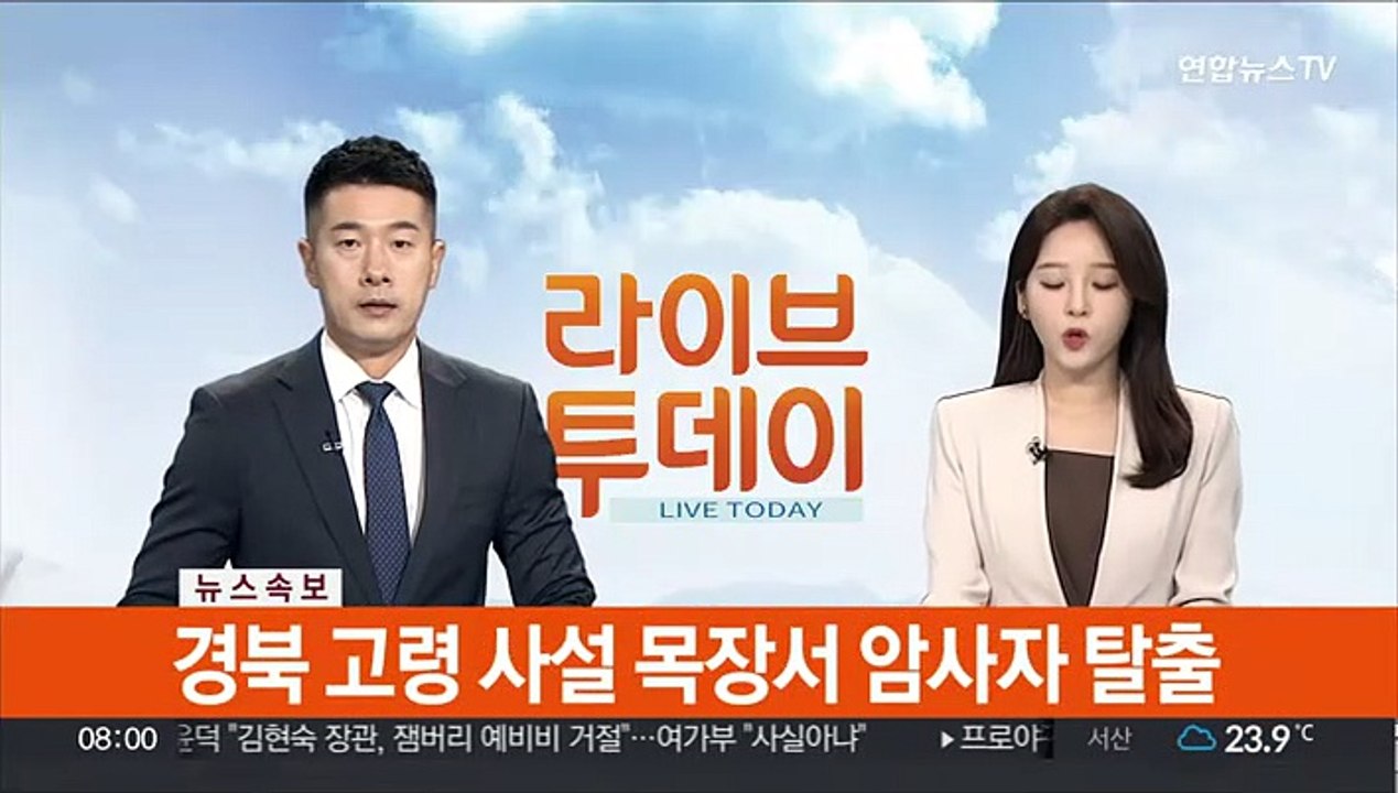 [속보] 경북 고령 사설 목장서 암사자 탈출