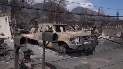 [뉴스라이더] 美 하와이 산불 "100년 만에 최악"...현지 교민 상황은? / YTN