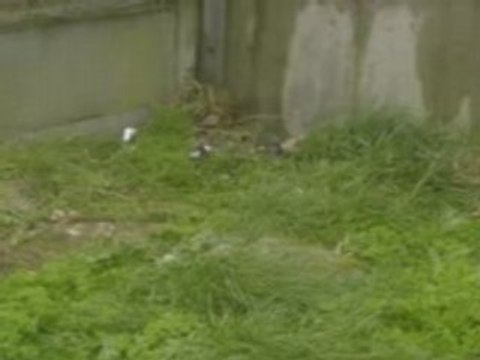 Initiatives Océanes A Dunkerque