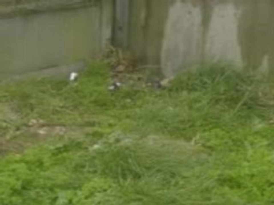 Initiatives Océanes A Dunkerque