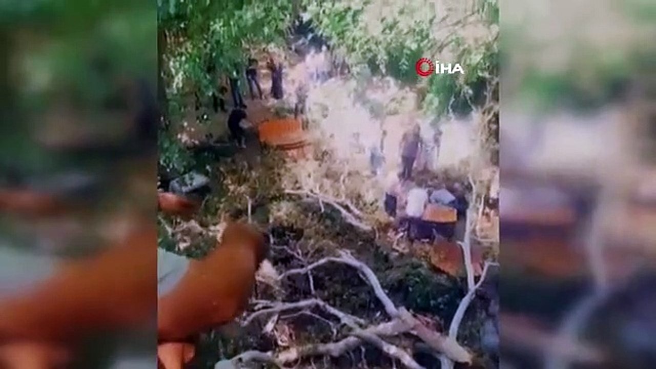 Trois personnes ont été blessées lorsqu'une branche d'arbre leur est tombée dessus.