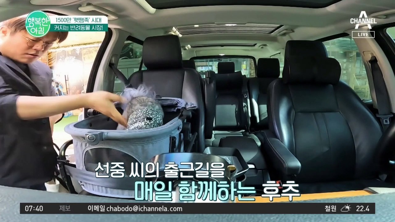 반려동물 유치원부터 오마카세까지? 고품질,기능성으로 변하고 있는 K-PET 시장! #...