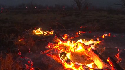 [뉴스라이브] 하와이 산불 '장기화' 우려...수색·진화 상황은? / YTN