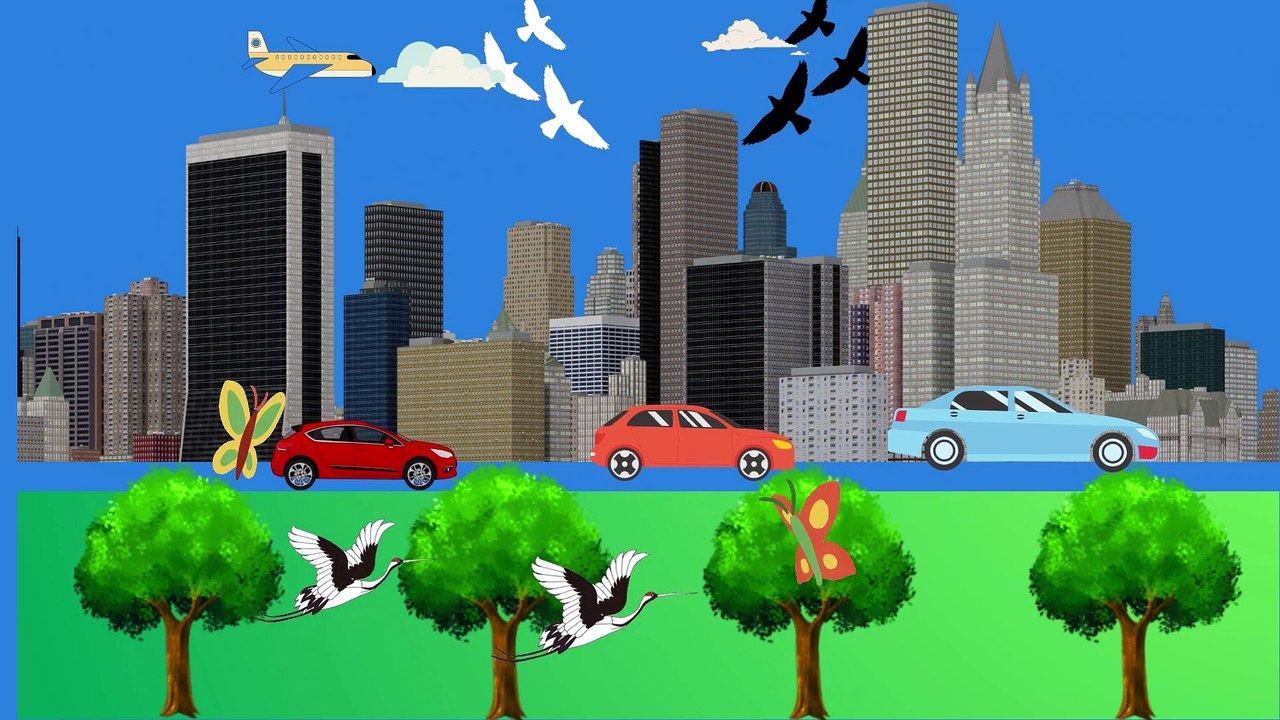 Video animasi - taman - gedung - mobil