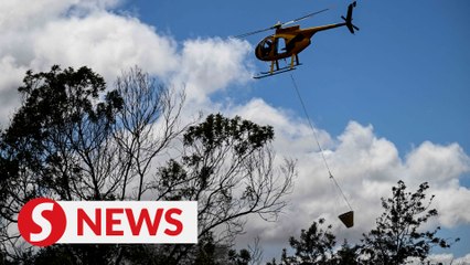 Maui wildfires United States' deadliest in a century