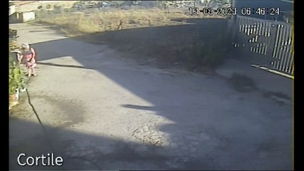 Menfi, lancia i rifiuti dall'auto: il sindaco Clemente pubblica il video e la convoca in Comune