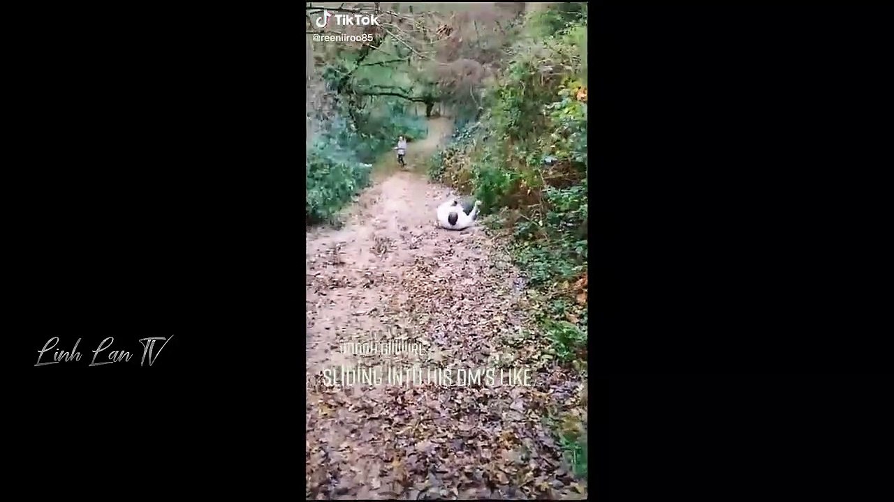 Compilation of Funny Moments of the Year