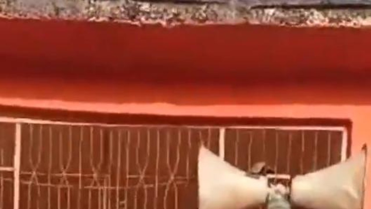 ఏలూరు జిల్లా: ఆగంతకుల అరాచకం.. ఏకంగా