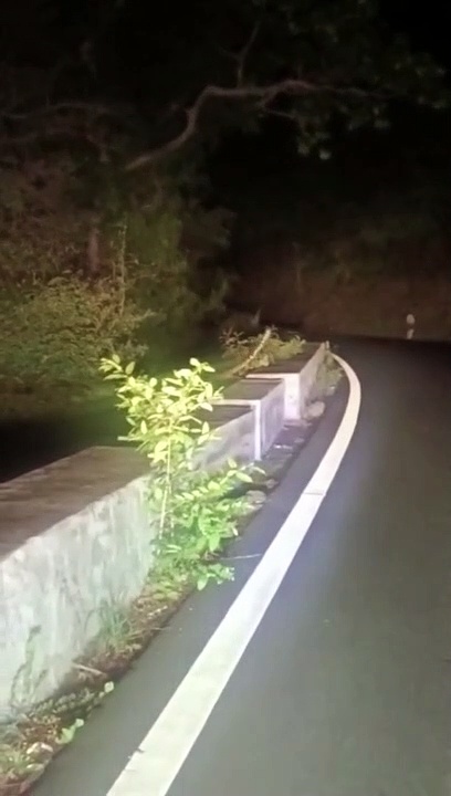 திம்பம்  மலைப்பாதையில் சாலையின் குறுக்கே ஓடி விளையாடும் சிறுத்தை