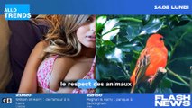 Le duel en coulisses entre Zahia Dehar et Kelly Vedovelli à TPMP : Cyril Hanouna tiraillé.