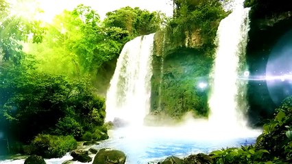 Listen Yoga Music - PERFORM YOGA HEALING I Jungle Song I Morning Relax Meditation I Flute Music for Yoga Healing I