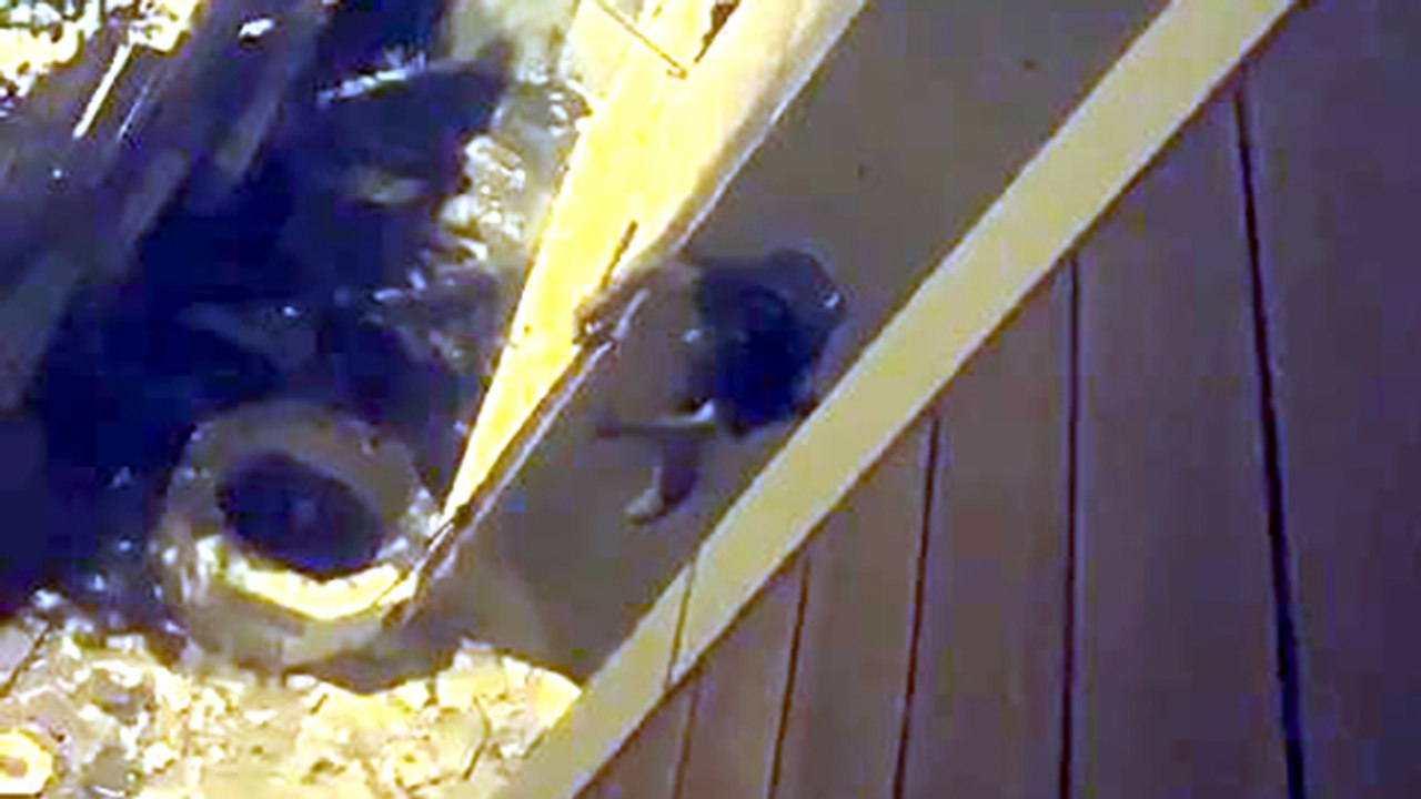 Duvara tırmanan hırsız internet kablolarını çalarken yakalandı