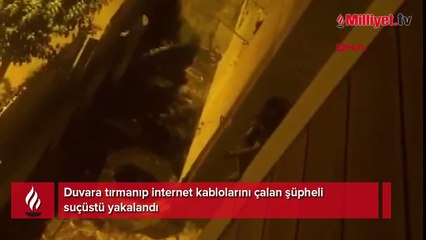 Duvara tırmanıp internet kablolarını çalarken suçüstü yakalandı! 'Biz meczup zannettik'