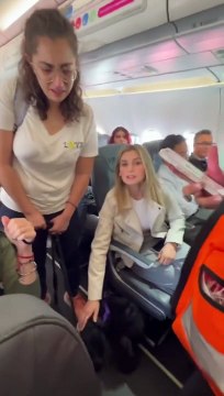 Companhia aérea tenta expulsar mulher e cão. Passageiros unem-se contra