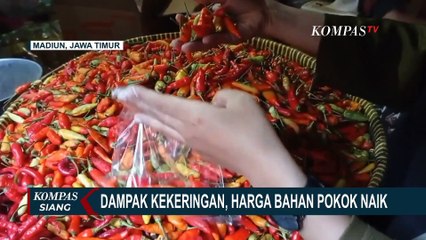 Télécharger la video: Dampak Kekeringan, Harga Bahan Pokok Merangkak Naik!