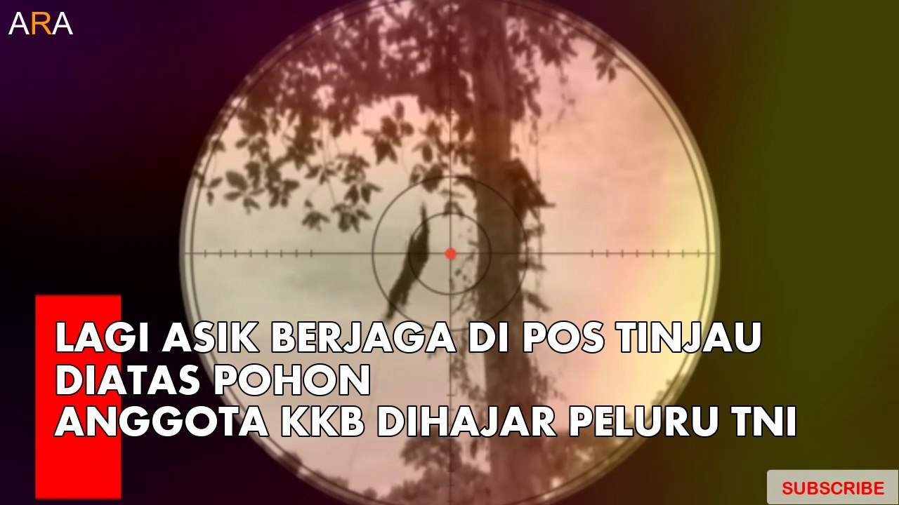 Lagi asik berjaga di pos tinjau di atas pohon,anggota KKB dihajar peluru TNI