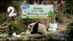 A Singapore festa per i due anni del panda gigante Le Le
