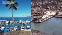 Dramatic before-and-after videos show destruction of wildfires in Lahaina, Maui