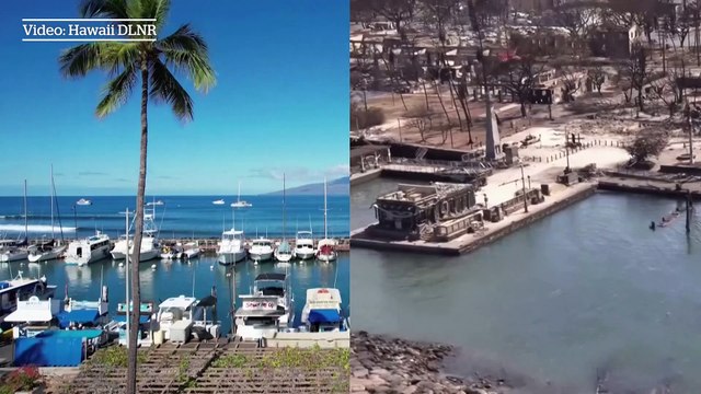 Dramatic before-and-after videos show destruction of wildfires in Lahaina, Maui