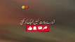 ALLAH ko Sathi Bana Lo | Urdu Status Islamic Whatsapp Status  #foryou #fypシ #foryoupage #fyp #videoviral #virał #viewsproblem #standwithkashmir #RozanaDeen
