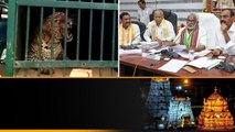 TTD Meeting: సంచలన నిర్ణయాలు Tirumala లో చిరుత భయం ముంగిట.. | Telugu OneIndia