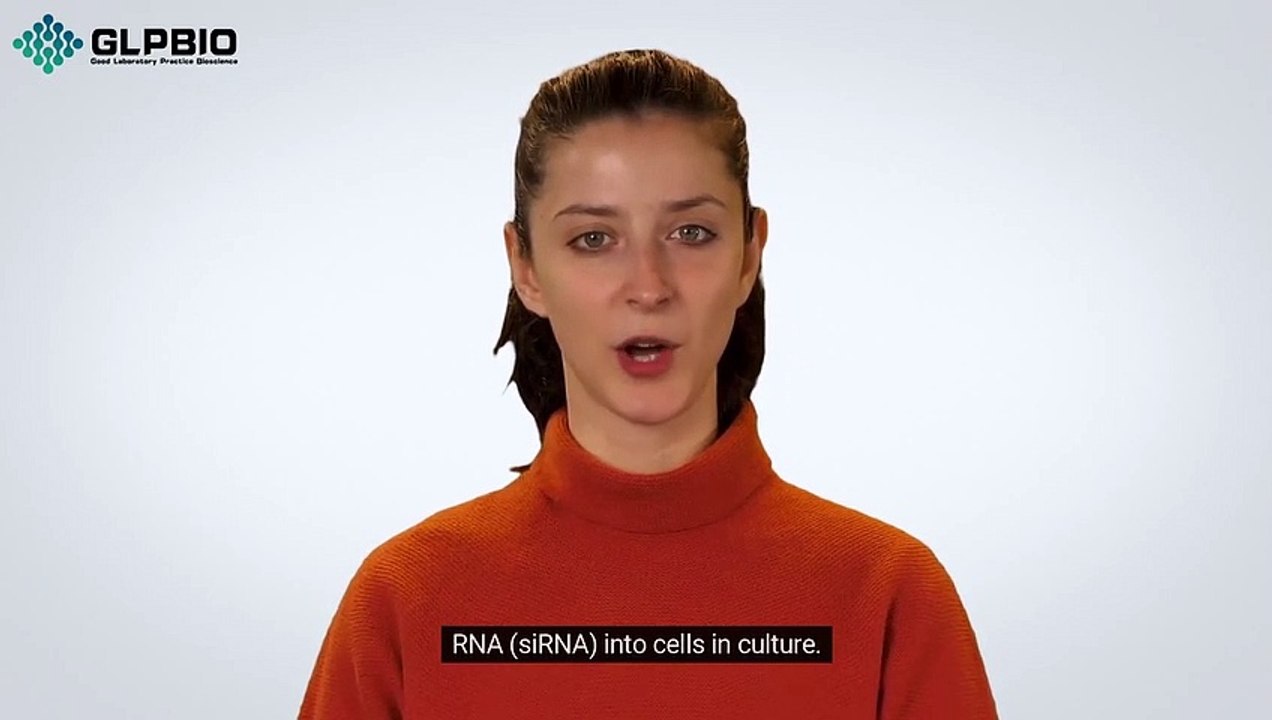 Lipo2000: The Ultimate Transfection Reagent for Your Research Needs | GlpBio