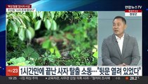 [뉴스프라임] 사설농장 사자·곰 등 잇단 탈출…관리 어떻게 했기에