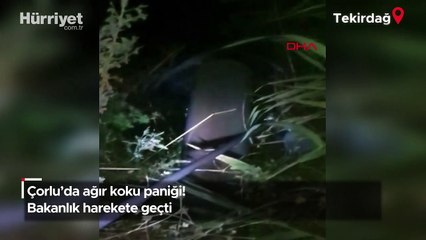 Çorlu'da ağır koku paniği! Bakanlık harekete geçti