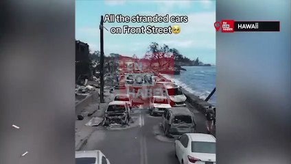Tarihinin en büyük orman yangınını yaşayan Hawaii'de tahribatın büyüklüğü