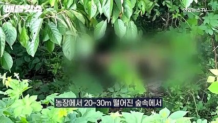 [배달잇슈] 세로와 다른 운명, 탈출 암사자 결국…매뉴얼 어떻길래?