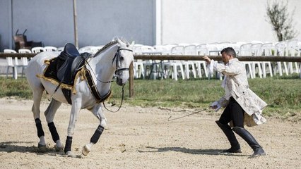 L'amour est dans le pré : Que sont-ils devenus ?