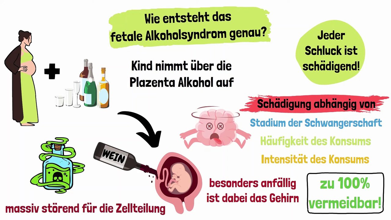 Fetales Alkoholsyndrom (FAS) und fetale Alkoholspektrumstörung (FASD) bei Kindern _ ERZIEHERKANAL-ikK0dto20WI