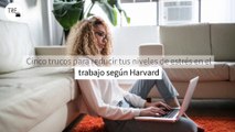 Cinco trucos para reducir tus niveles de estrés en el trabajo según Harvard