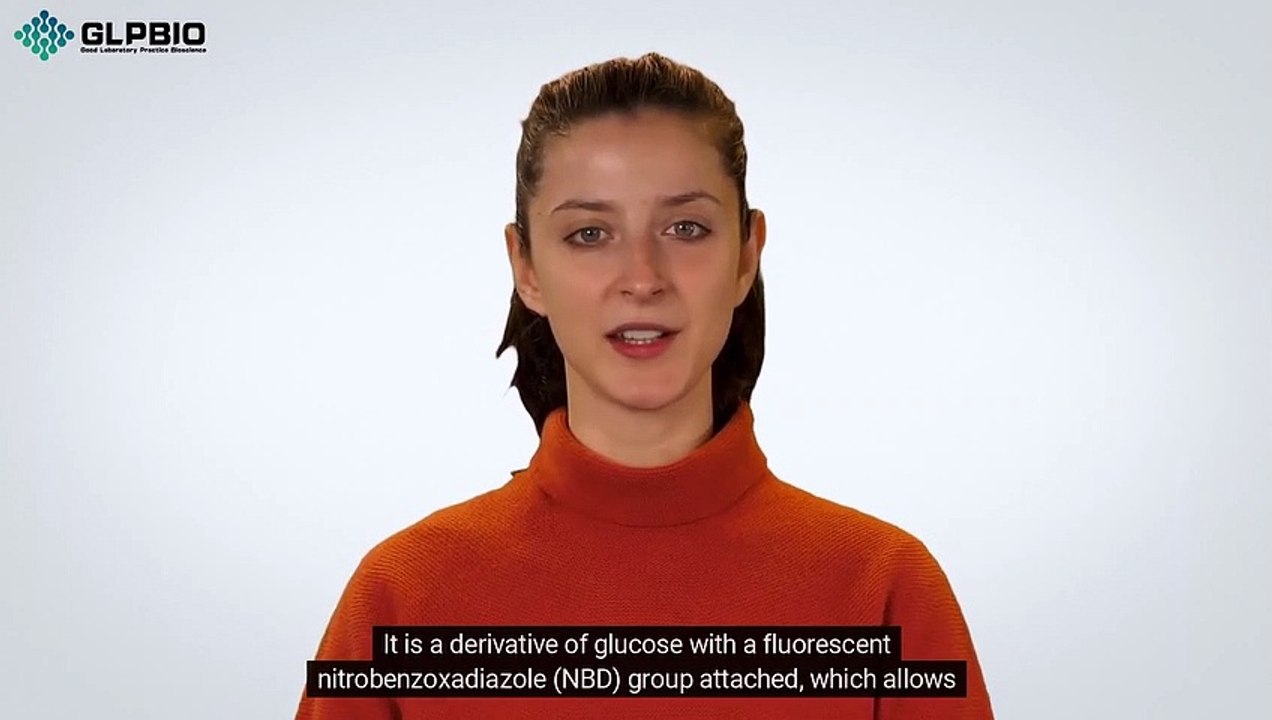 2-NBDG: A Fluorescent Tool for Analyzing Cell Metabolism in Metabolic Disorder Studies | GlpBio