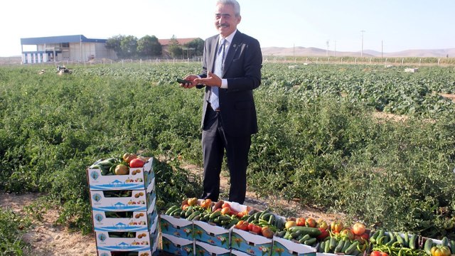 Salatalık, domates, biber, karpuz… Hepsi 1 TL