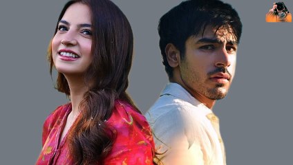 Fans thinks muhabbat gumshuda meri drama storyline is destroying young generation