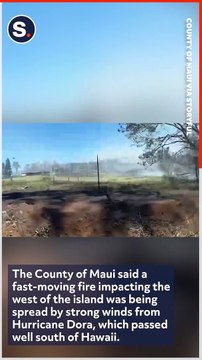 Damaging Fires Fanned by Strong Winds Spread in Maui