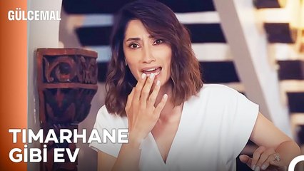 Şahin Malikanesi'nde Gündem Hızlı Değişiyor - Gülcemal