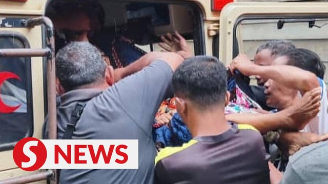 Orang Asli woman dies after being trampled by elephant near Gerik durian farm