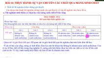 Sinh 10 - Bài 12 Thực hành sự vận chuyển các chất qua màng sinh chất