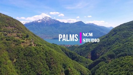 Palms - Text Me Records _ Bobby Renz  Reggae Music, Inspirational Music, Hope Music